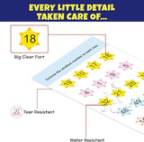 Little Berry Jumbo Write and Wipe Flash Cards: Activity | 64 Brain-Boosting Activities for Toddlers | 32 Reusable Double-Sided...