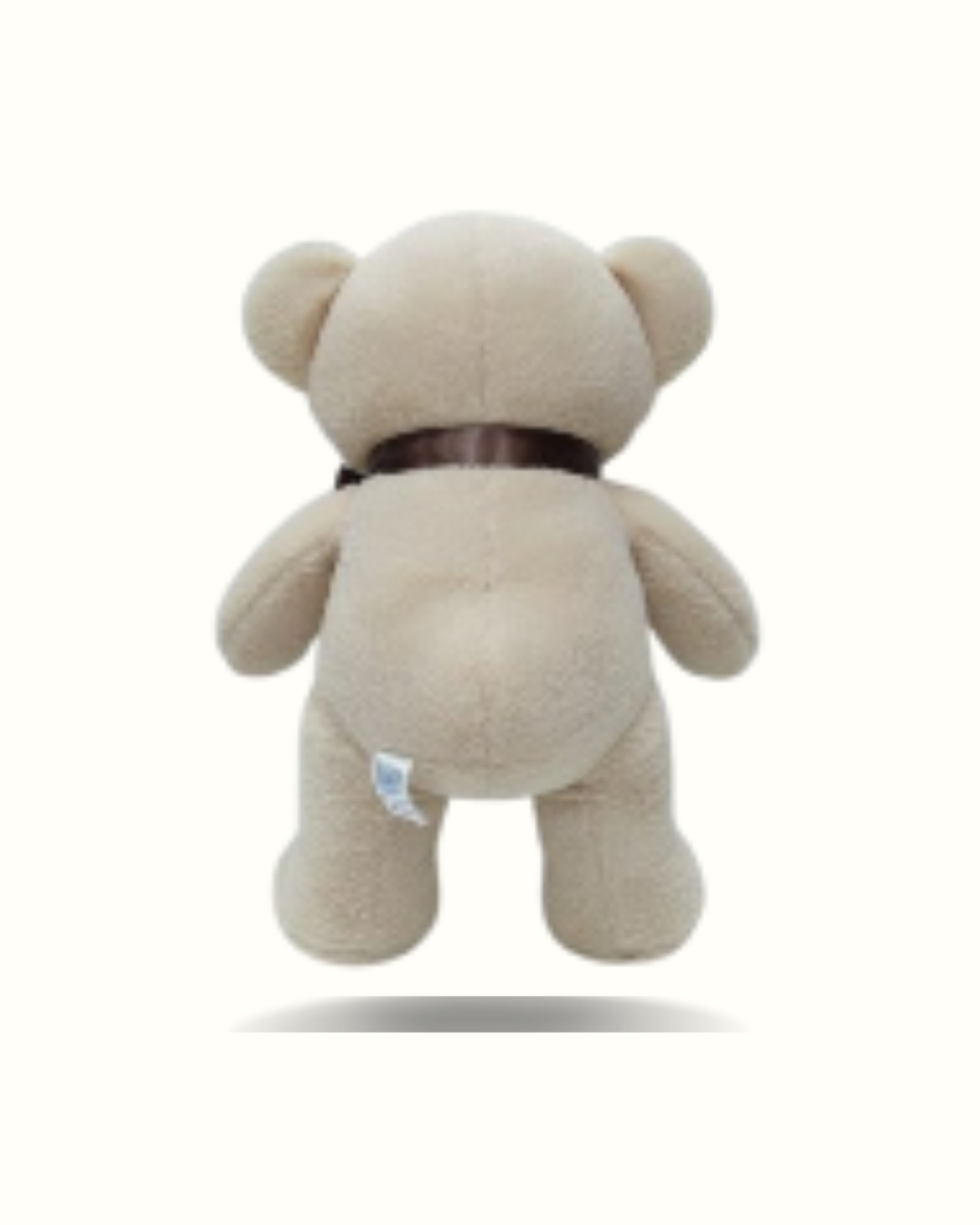 Beige teddy bear with a brown ribbon on a white background
