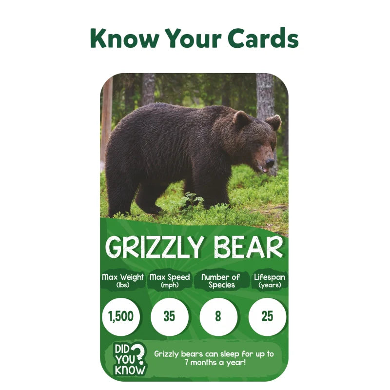 Educational Board Games for Kids
