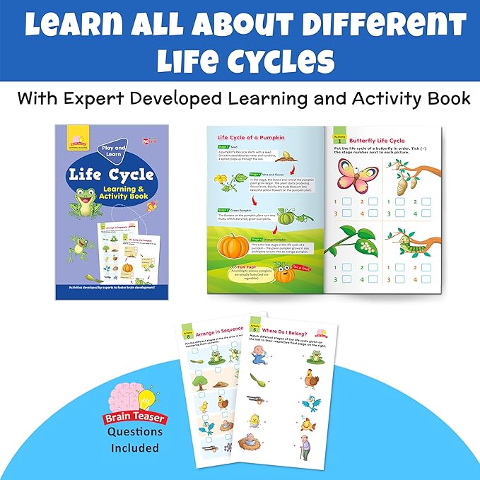 Educational book about life cycles with colorful illustrations on a blue background