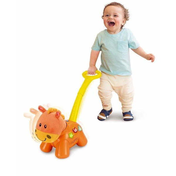 Winfun Push 'N Walk Pony