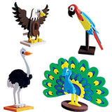 ImagiMake  Mapology Birds