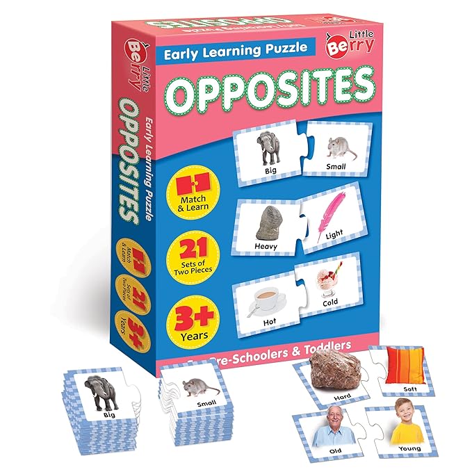 Box of 'Little Berry' early learning puzzle with opposites theme on a white background