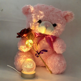 Pink teddy bear with glowing eyes, flowers, and a small lamp on a white background