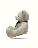 Plush teddy bear with a brown bow on a white background