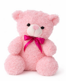 Premium Soft Teddy Bea