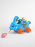 Pull Along Toy for Toddlers