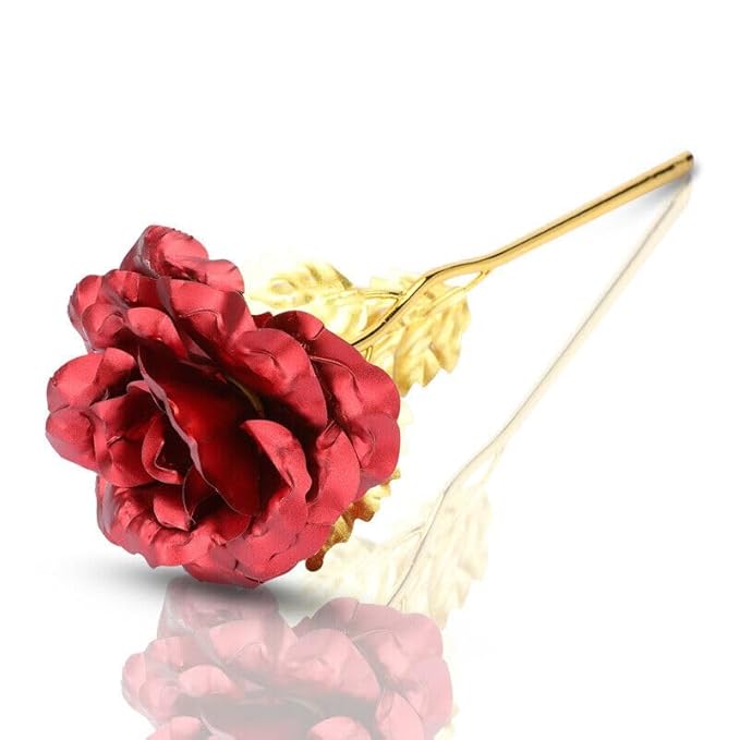 Red rose with gold stem on a white background