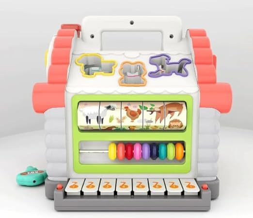 activity-house-and-blocks-sorting