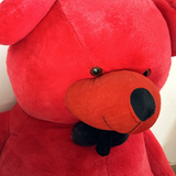 Close-up of a red teddy bear with a blurred background