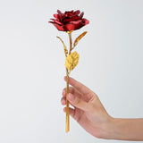 Hand holding a red rose with a gold stem against a white background