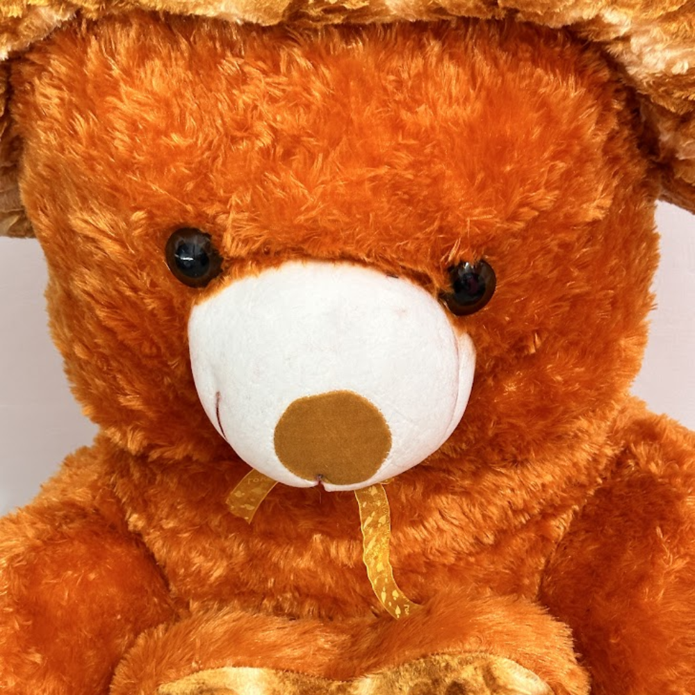 Close-up of a brown teddy bear with a white muzzle and black eyes on a light gray background.