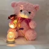 Pink teddy bear with a glowing rose and small lamp on a plain background