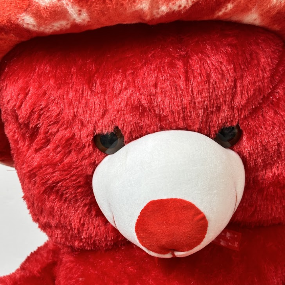 Close-up of a red teddy bear with a white nose on a light gray background